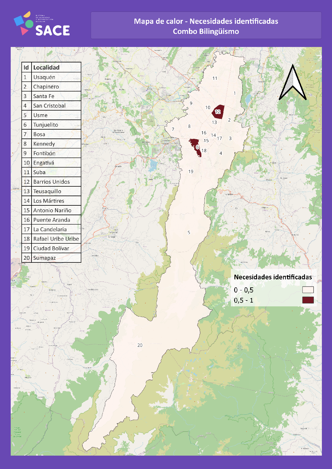 bilingüismo necesidades