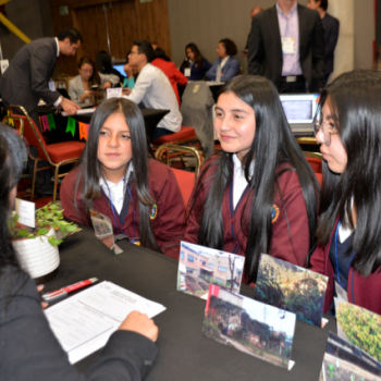 IED Campestre Monte Verde